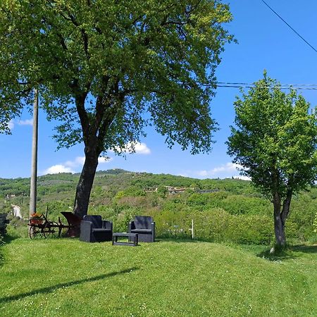 Agriturismo La Poderina 圣奎里科 外观 照片